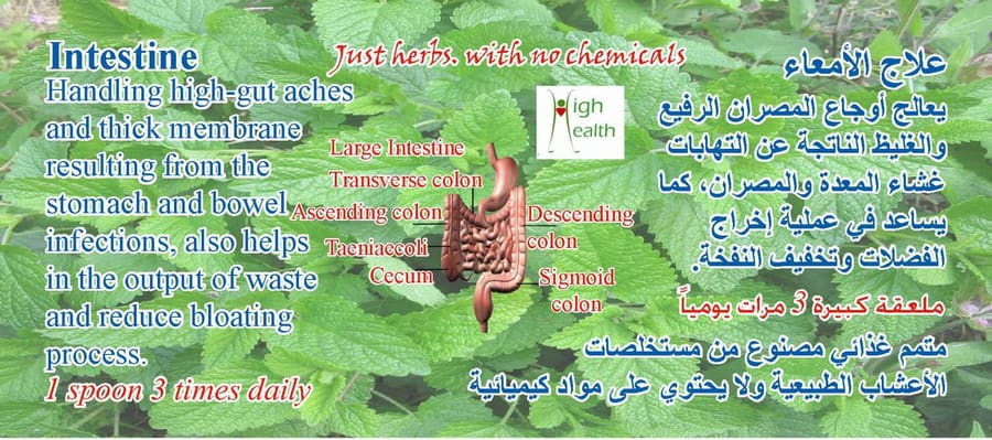 علاج الأمعاء