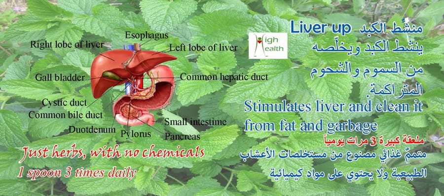 منشّط الكبد