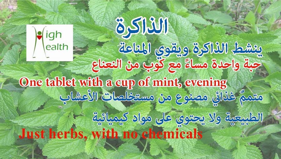 الذاكرة